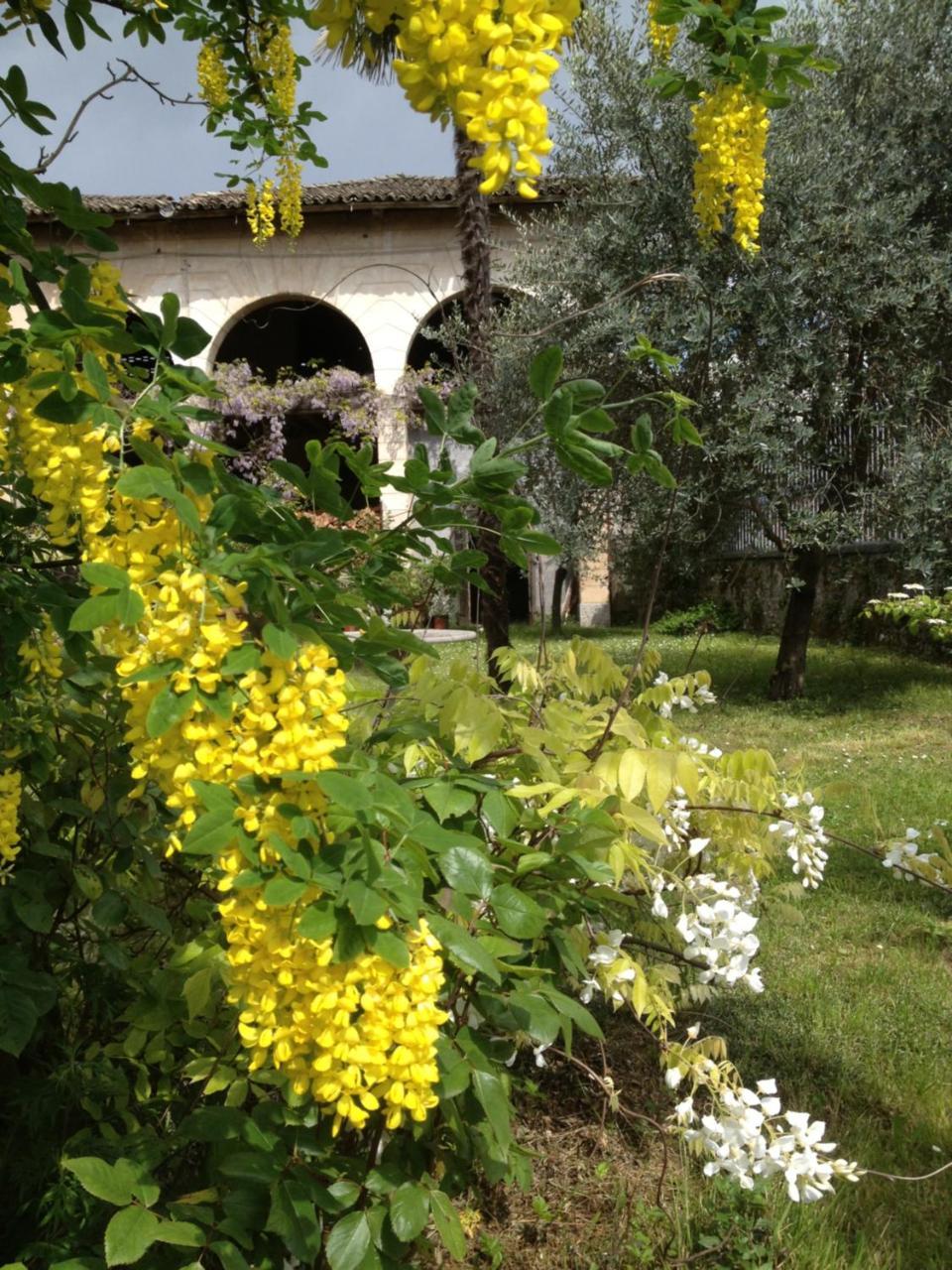 Antica Scuderia Bed & Breakfast Buttrio Dış mekan fotoğraf